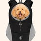 Pet carrier backpack with a small dog inside