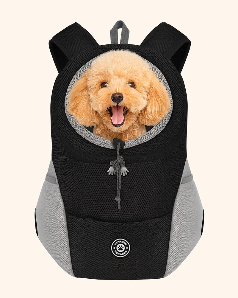 Pet carrier backpack with a small dog inside