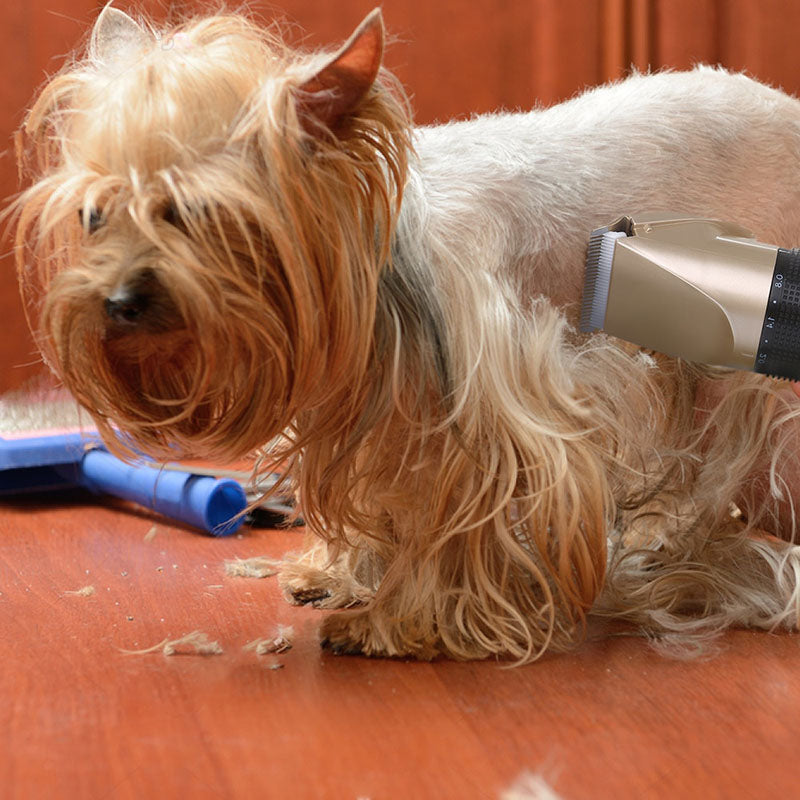 The Original World's Quietest Pet Hair Clipper