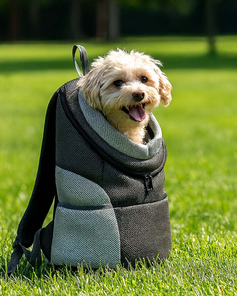 The Voyager - Dog/Cat Backpack Carrier - For Small/Medium Pets