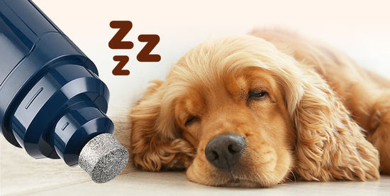 View of The Original PetGRINDX™ Painless Pet Nail Grinder – ClipMyPaws.com