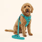 Swift Tail No-Pull Pet Harness & Leash Set - For Small/Medium Pets
