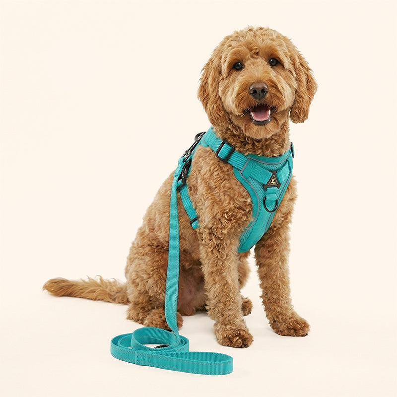 Swift Tail No-Pull Pet Harness & Leash Set - For Small/Medium Pets