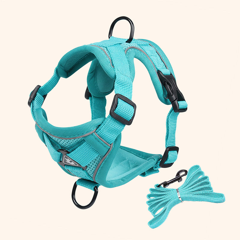 Swift Tail No-Pull Pet Harness & Leash Set - For Small/Medium Pets