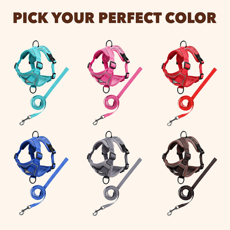 Swift Tail No-Pull Pet Harness & Leash Set - For Small/Medium Pets