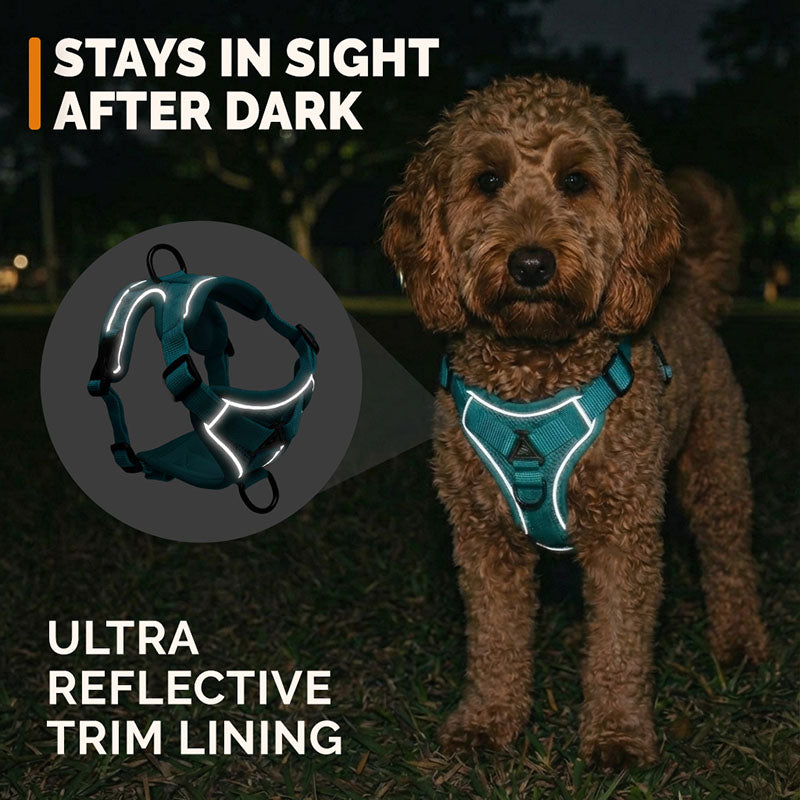 Swift Tail No-Pull Pet Harness & Leash Set - For Small/Medium Pets