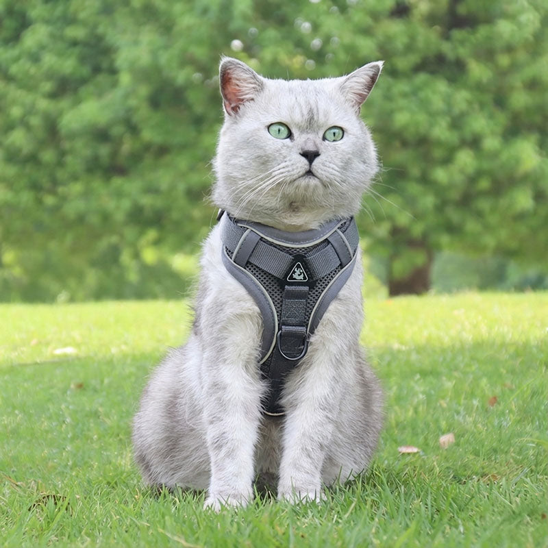 Swift Tail No-Pull Pet Harness & Leash Set - For Small/Medium Pets