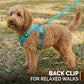 Swift Tail No-Pull Pet Harness & Leash Set - For Small/Medium Pets