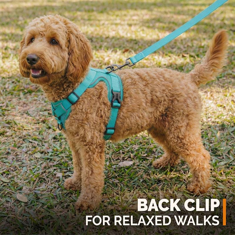 Swift Tail No-Pull Pet Harness & Leash Set - For Small/Medium Pets