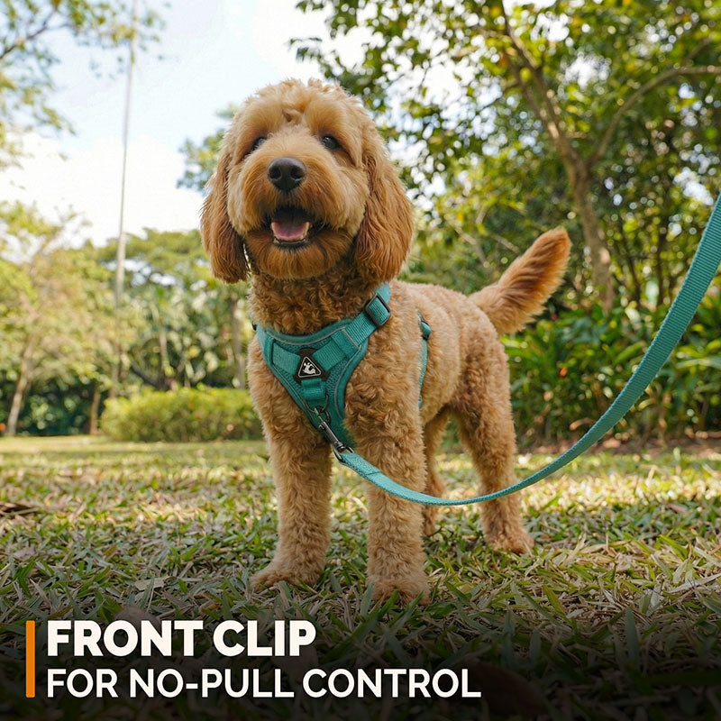 Swift Tail No-Pull Pet Harness & Leash Set - For Small/Medium Pets
