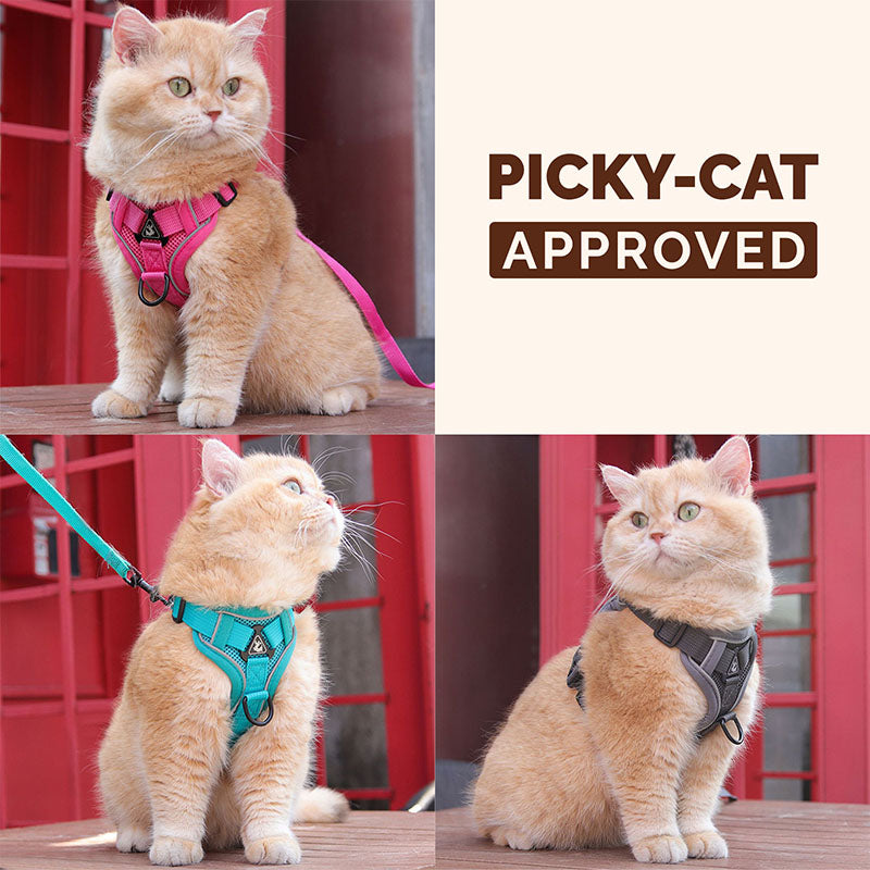 Swift Tail No-Pull Pet Harness & Leash Set - For Small/Medium Pets