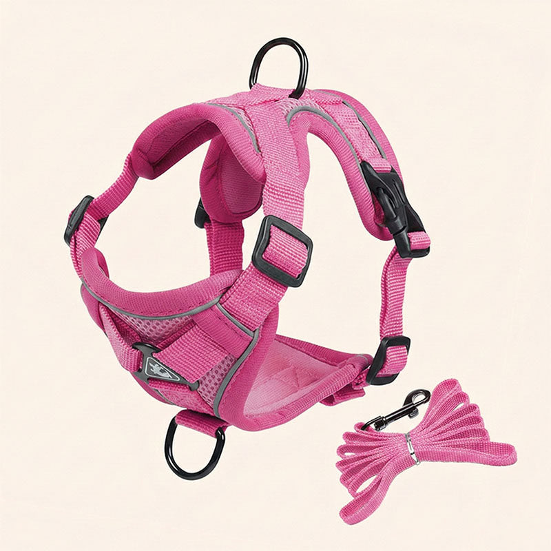 Swift Tail No-Pull Pet Harness & Leash Set - For Small/Medium Pets