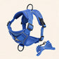 Swift Tail No-Pull Pet Harness & Leash Set - For Small/Medium Pets