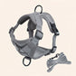 Swift Tail No-Pull Pet Harness & Leash Set - For Small/Medium Pets