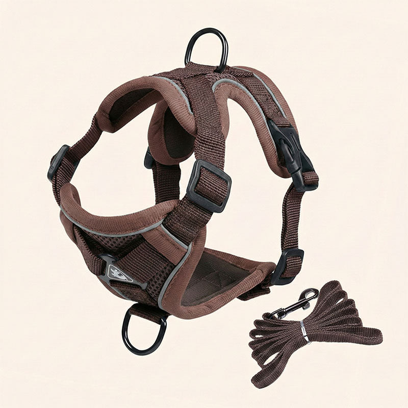 Swift Tail No-Pull Pet Harness & Leash Set - For Small/Medium Pets