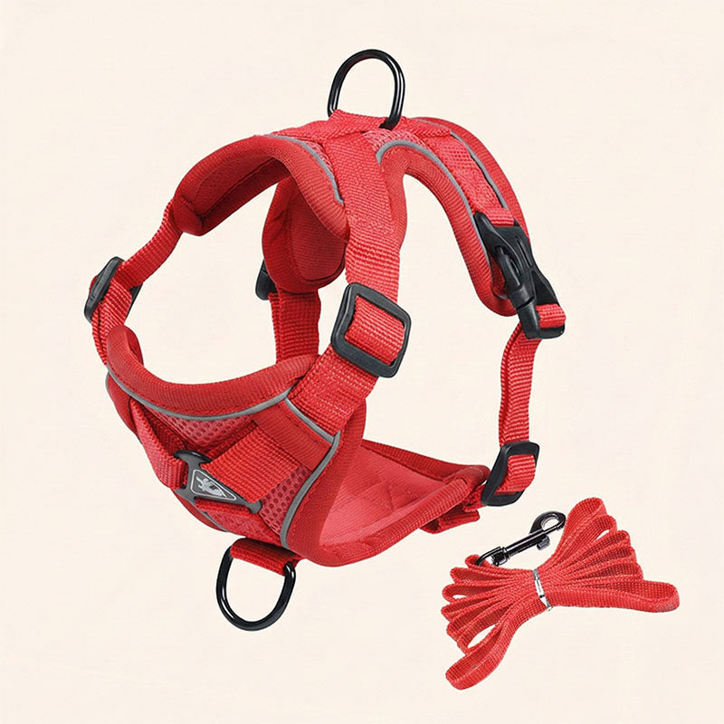 Swift Tail No-Pull Pet Harness & Leash Set - For Small/Medium Pets