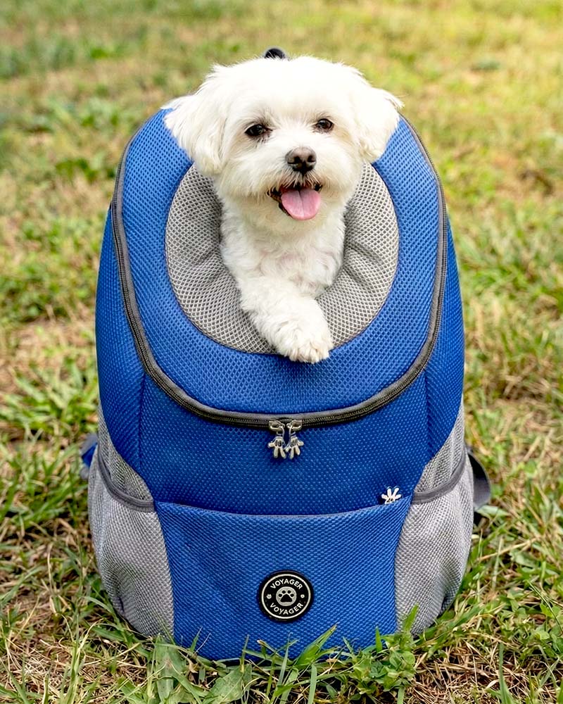 The Voyager - Dog Backpack Carrier - For Small/Medium Pets