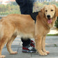 WonderHarness™ No-Pull Dog Harness