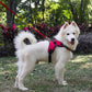WonderHarness™ No-Pull Dog Harness