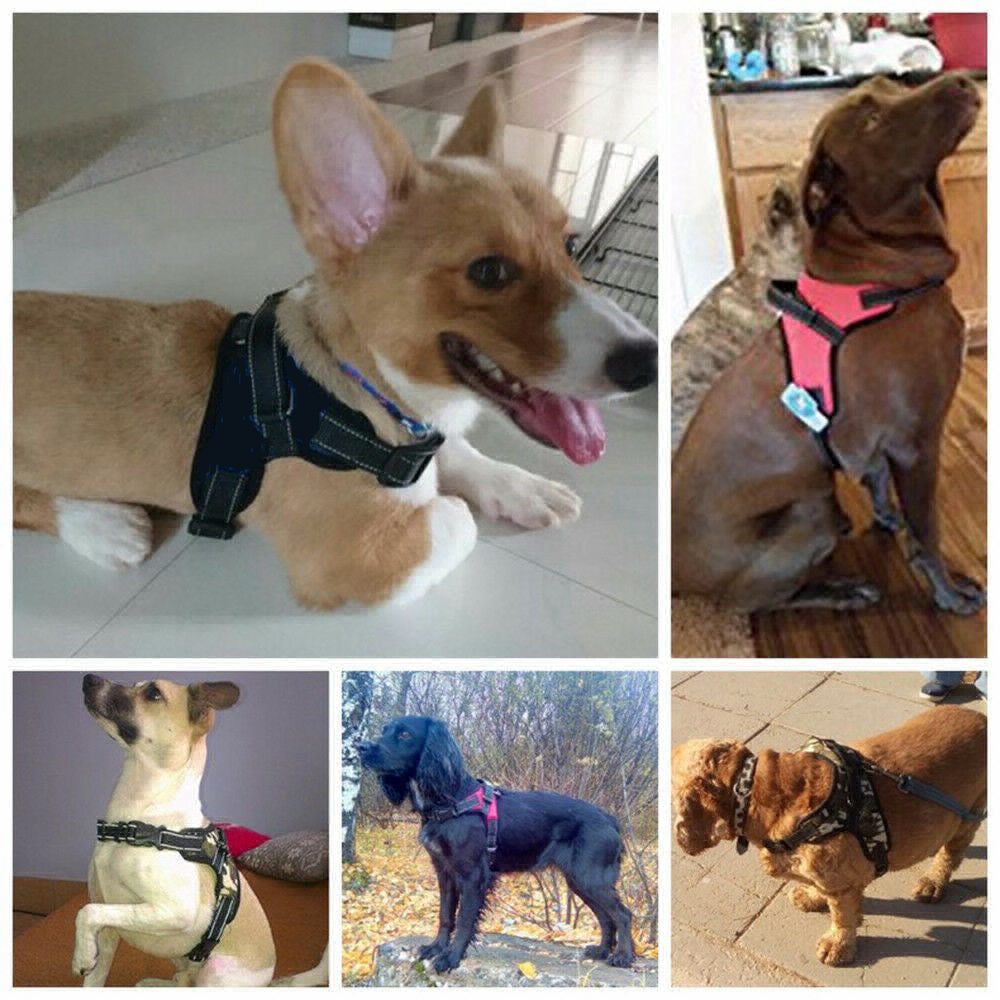 WonderHarness™ No-Pull Dog Harness