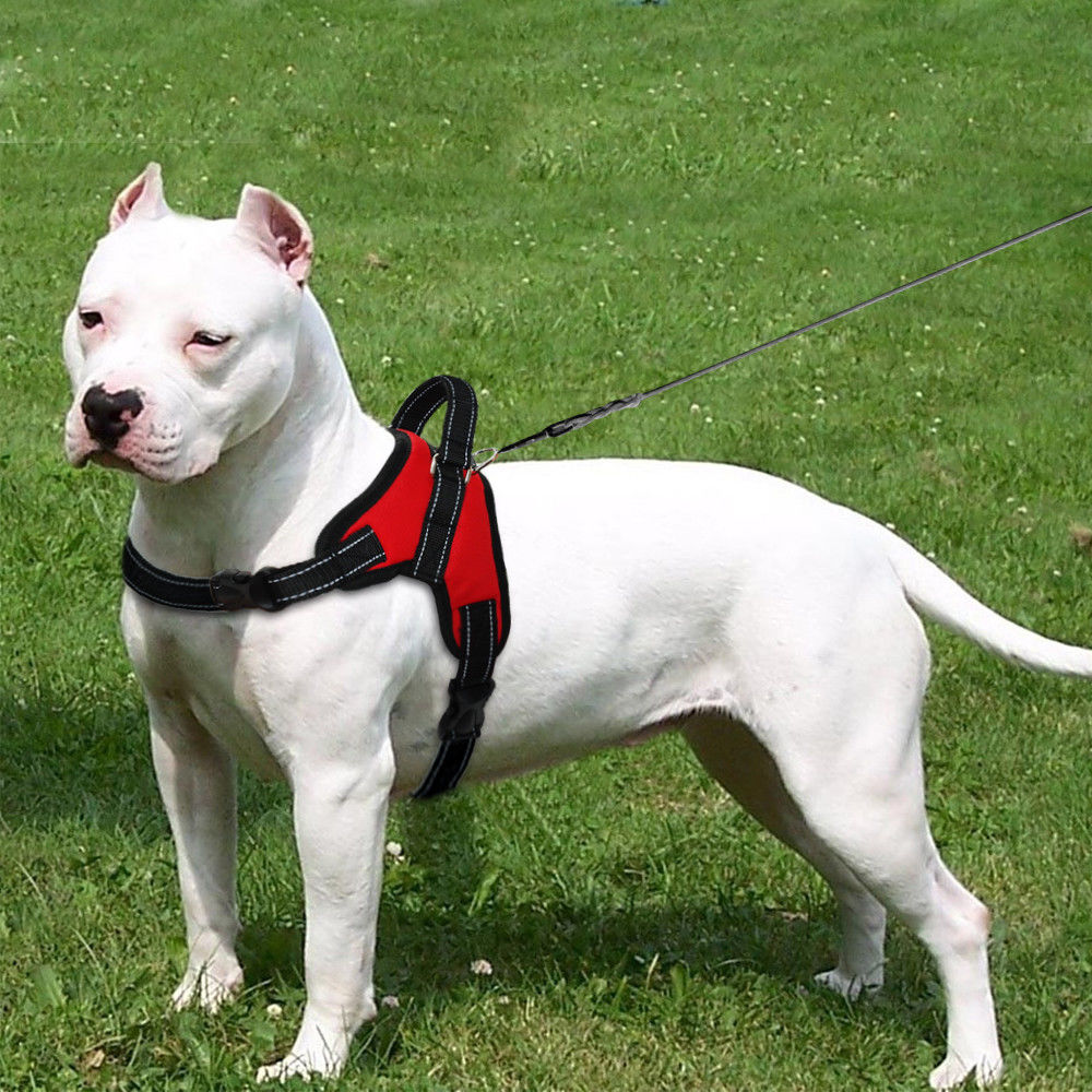 WonderHarness™ No-Pull Dog Harness